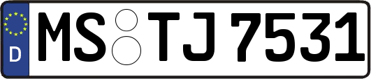 MS-TJ7531