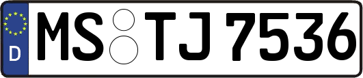 MS-TJ7536