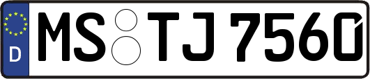 MS-TJ7560