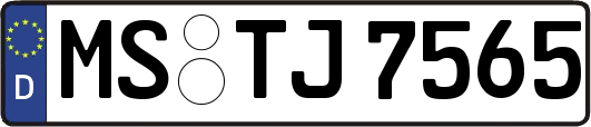 MS-TJ7565