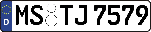MS-TJ7579