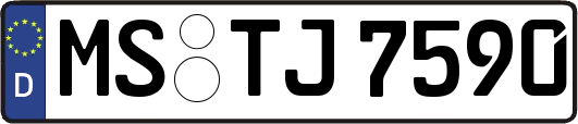 MS-TJ7590