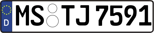 MS-TJ7591