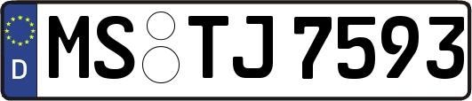 MS-TJ7593