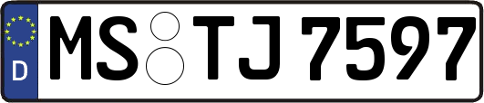 MS-TJ7597