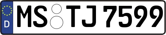 MS-TJ7599
