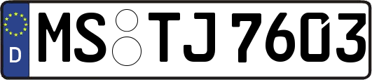 MS-TJ7603