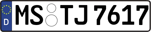 MS-TJ7617