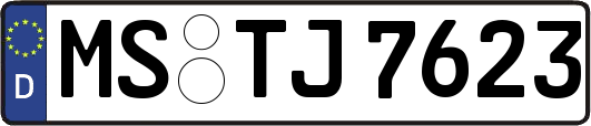MS-TJ7623