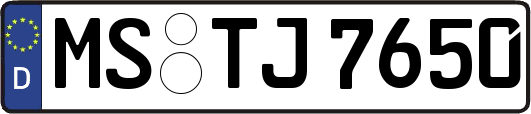 MS-TJ7650