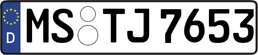 MS-TJ7653