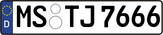 MS-TJ7666