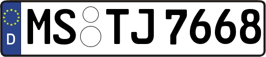 MS-TJ7668