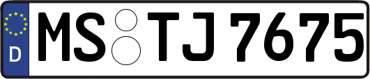 MS-TJ7675