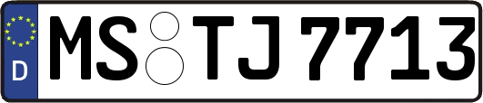 MS-TJ7713