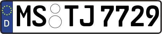 MS-TJ7729