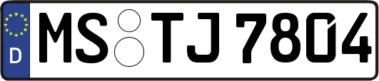 MS-TJ7804
