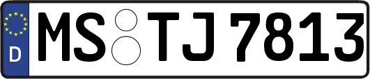 MS-TJ7813