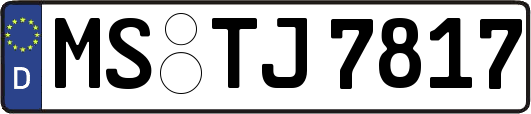 MS-TJ7817