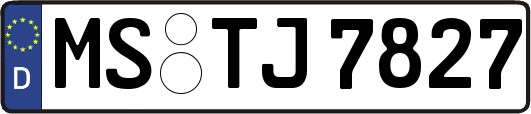 MS-TJ7827