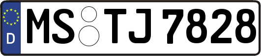 MS-TJ7828