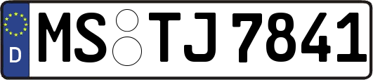 MS-TJ7841