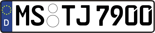 MS-TJ7900
