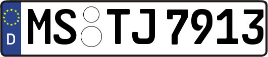 MS-TJ7913