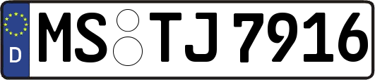 MS-TJ7916