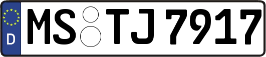 MS-TJ7917