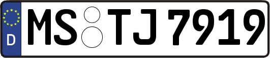 MS-TJ7919