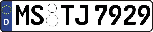 MS-TJ7929