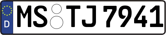 MS-TJ7941