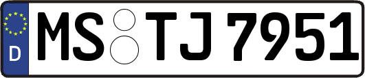 MS-TJ7951