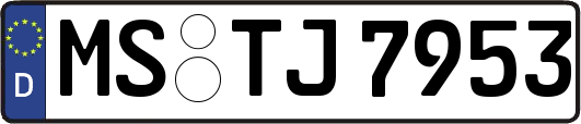 MS-TJ7953