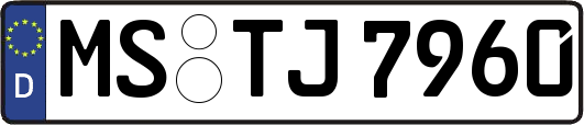 MS-TJ7960
