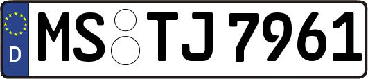 MS-TJ7961