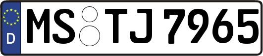 MS-TJ7965