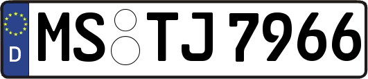 MS-TJ7966