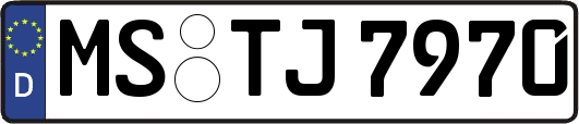 MS-TJ7970