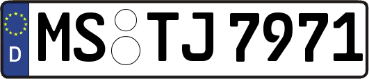 MS-TJ7971