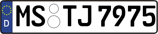 MS-TJ7975