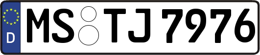MS-TJ7976