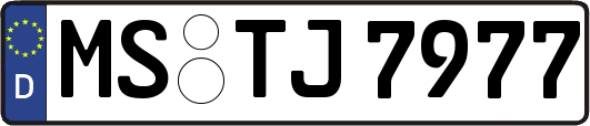 MS-TJ7977