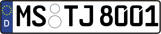 MS-TJ8001
