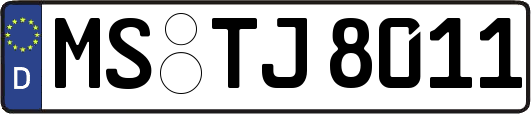 MS-TJ8011