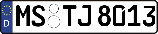 MS-TJ8013