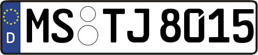 MS-TJ8015