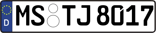 MS-TJ8017