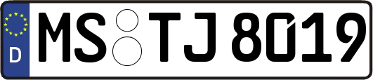 MS-TJ8019